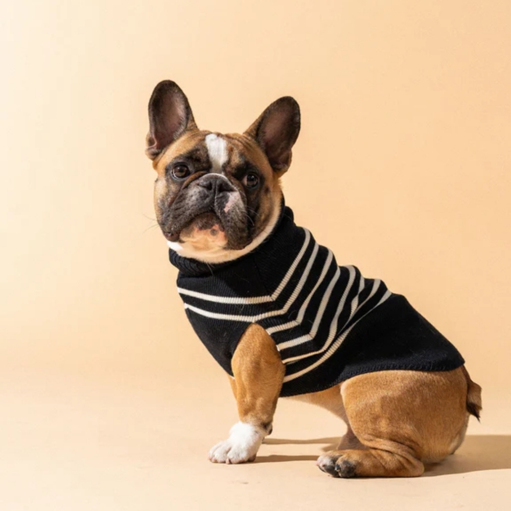 Saint James Navy Blue Parisian Pup Wool Sweater ( 14" Length 9.5" Chest)
